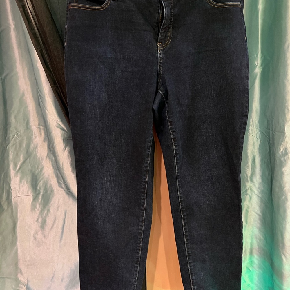 Talbots Blue Skinny Jeans Modern Fit